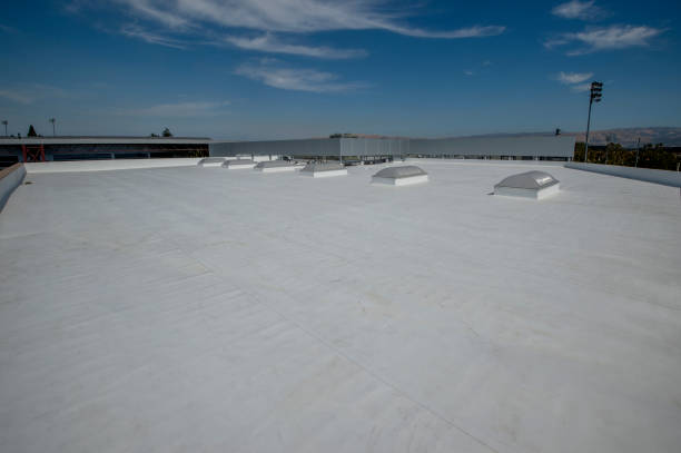 Best Roof Insulation Installation  in Eldorado, TX